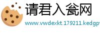 请君入瓮网